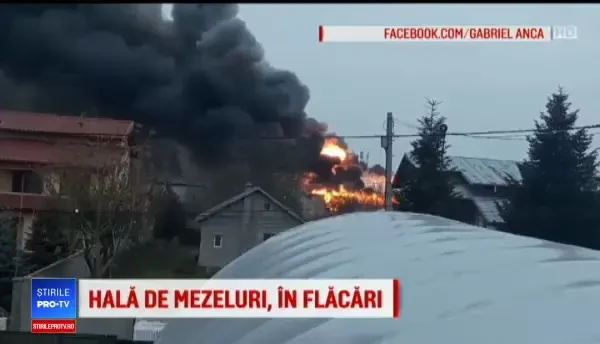 Oamenii, debusolați după un mesaj primit de la RO-Alert. Au făcut exact pe dos