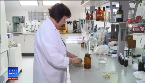 Riscurile la care ne expunem dacă prăjim cartofii la peste 175 de grade. Ce este acrilamida