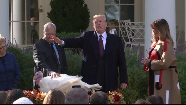 Trump a grațiat 2 curcani, o tradiție populară la Casa Albă de Ziua Recunoștinței