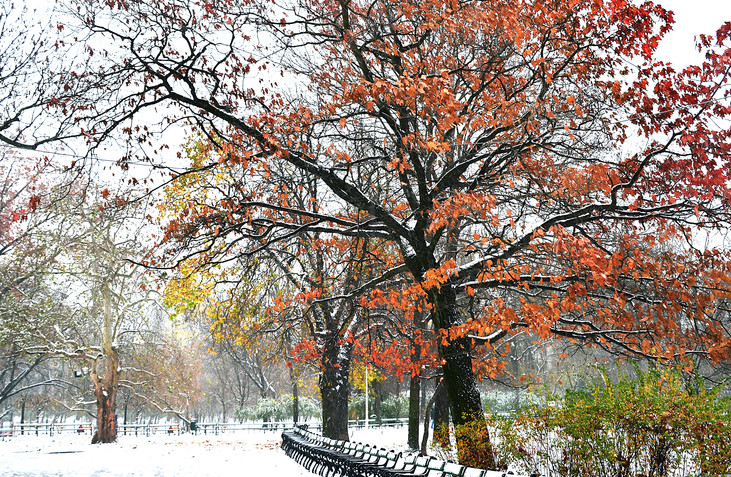 Vremea 21 noiembrie 2018. Când scăpăm de ger şi ninsori