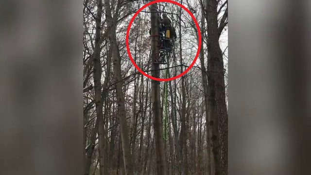 Un vânător a rămas suspendat într-un copac, cu capul în jos. „Nu era nimeni să-l audă”