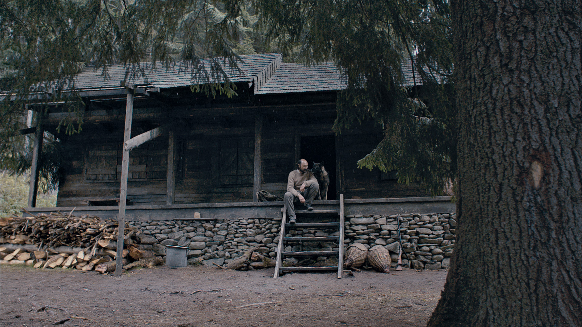 Dragoste 1. C&acirc;ine, filme, Florin Șerban