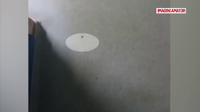 Controale noi la spitalul din Craiova, după ce ruda unui pacient a filmat un gândac pe coridorul secţiei de Urologie