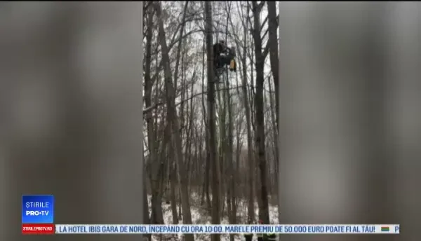 Un vânător a rămas suspendat într-un copac, cu capul în jos. „Nu era nimeni să-l audă”