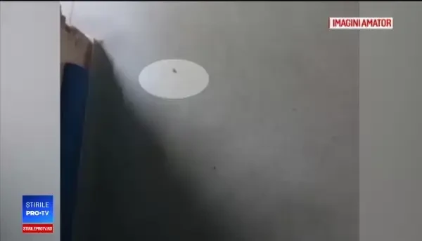 Controale noi la spitalul din Craiova, după ce ruda unui pacient a filmat un gândac pe coridorul secţiei de Urologie