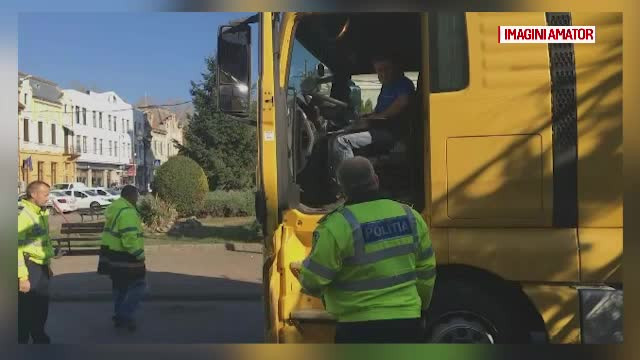 Bradul de Crăciun din Lugoj a fost confiscat de polițiști. Ce se va întâmpla cu el