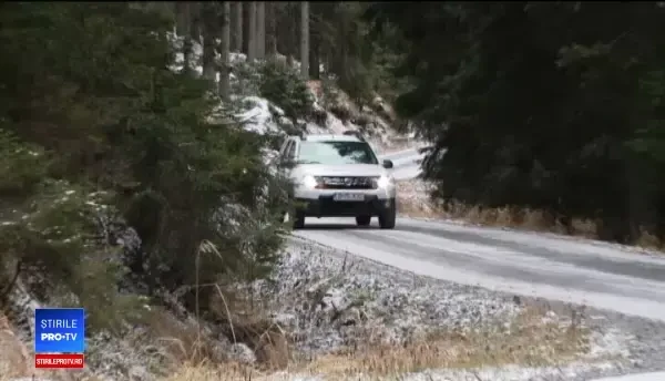 Experiențe unice la cabanele de vânătoare ale ”Romsilva”. Prețul unei nopți de cazare