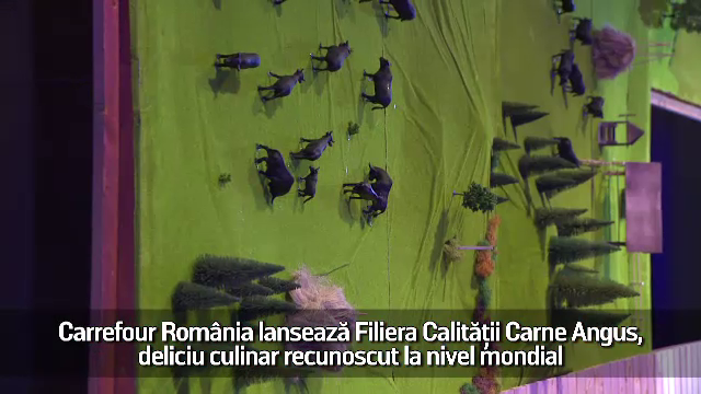 (P) Carrefour România lansează Filiera Calității Carne Angus, deliciu culinar recunoscut
