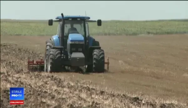 Planul Guvernului pentru a rezolva criza forței de muncă. Reacția angajatorilor