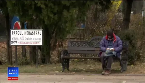 11 milioane de € pentru schimbarea reţelei electrice și a stâlpilor în Herăstrău. Reacția unei turiste