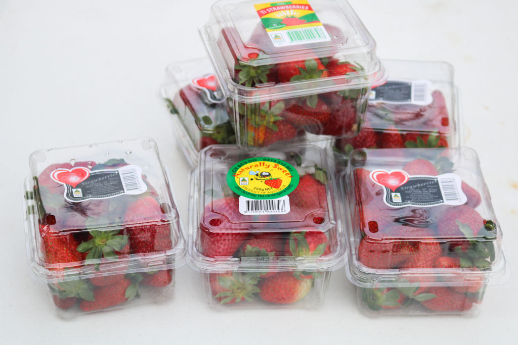 Problema acelor de cusut din căpșuni s-a extins și în Noua Zeelandă