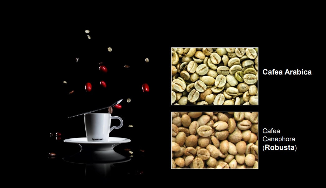 Cum alegi cafeaua potrivită, în funcţie de intensitate