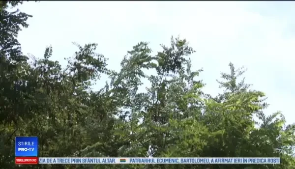 Horoscop 26 noiembrie 2018. Mare grijă la bani. Cheltuieli mari pentru nativii acestei zodii