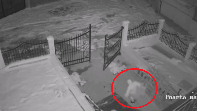 Femeie lăsată fără bradul de Crăciun, într-o localitate din Iași