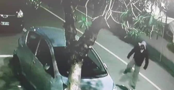 Român filmat când ucidea un pisoi pe stradă, în Italia. Ce pedeapsă riscă. VIDEO