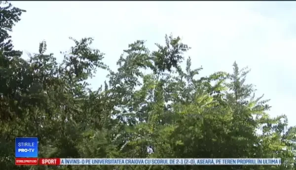 Horoscop 27 noiembrie 2018. Nou contract de muncă care îi va scoate din datorii pe nativii acestei zodii