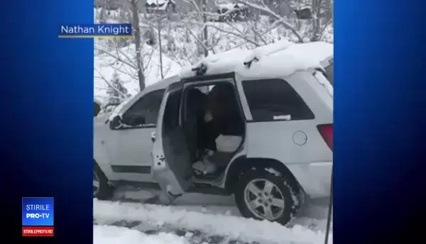 Urșii din Colorado au învățat să deschidă mașinile, în căutare de mâncare