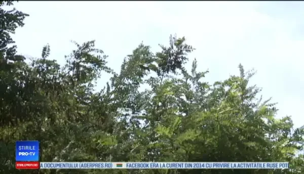 Horoscop 28 noiembrie 2018. Reușite în sfera profesională pentru aceste zodii