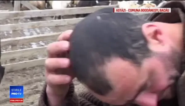 Doi bărbaţi, snopiţi în bătaie de mai mulţi necunoscuţi, lângă o stână. Una dintre victime a murit