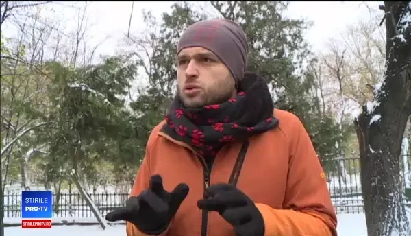 Datele privind starea pădurilor din România ar arăta o catastrofă. Guvernul, acuzat că ține ascunse informațiile