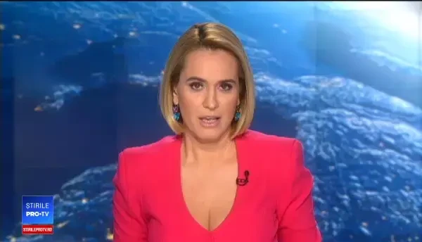 Boul care a scăpat de abator datorită dimensiunilor sale