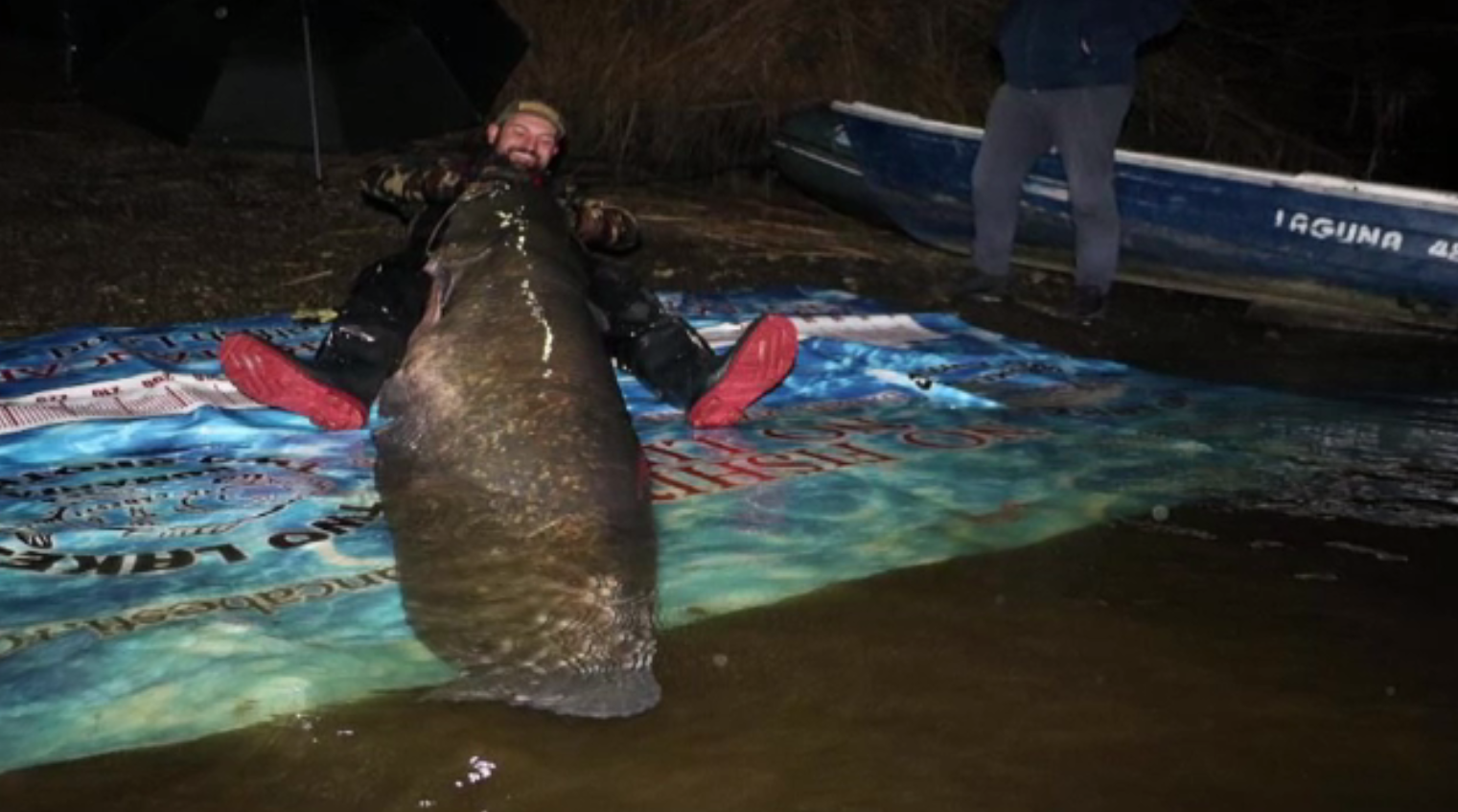 Un somn imens de 2 metri a fost prins în lacul Tâncăbeşti, din Ilfov. Cât cântărește