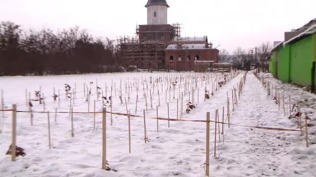 Cel mai mare accident feroviar din istoria României, soldat cu 1.000 de morţi. Experţii cred că a fost un atentat