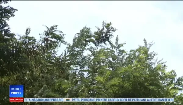 Horoscop 29 noiembrie 2018. Un contract cu un salariu consistent pentru această zodie