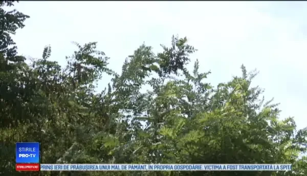 Horoscop 30 noiembrie 2018. Zodia care trece printr-o perioadă favorabilă iubirii