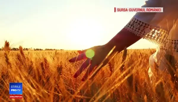 Greşeli în lanţ în clipurile de promovare a României. "Se laudă cu oameni care au plecat din ţară, că nu le-a oferit nimic”