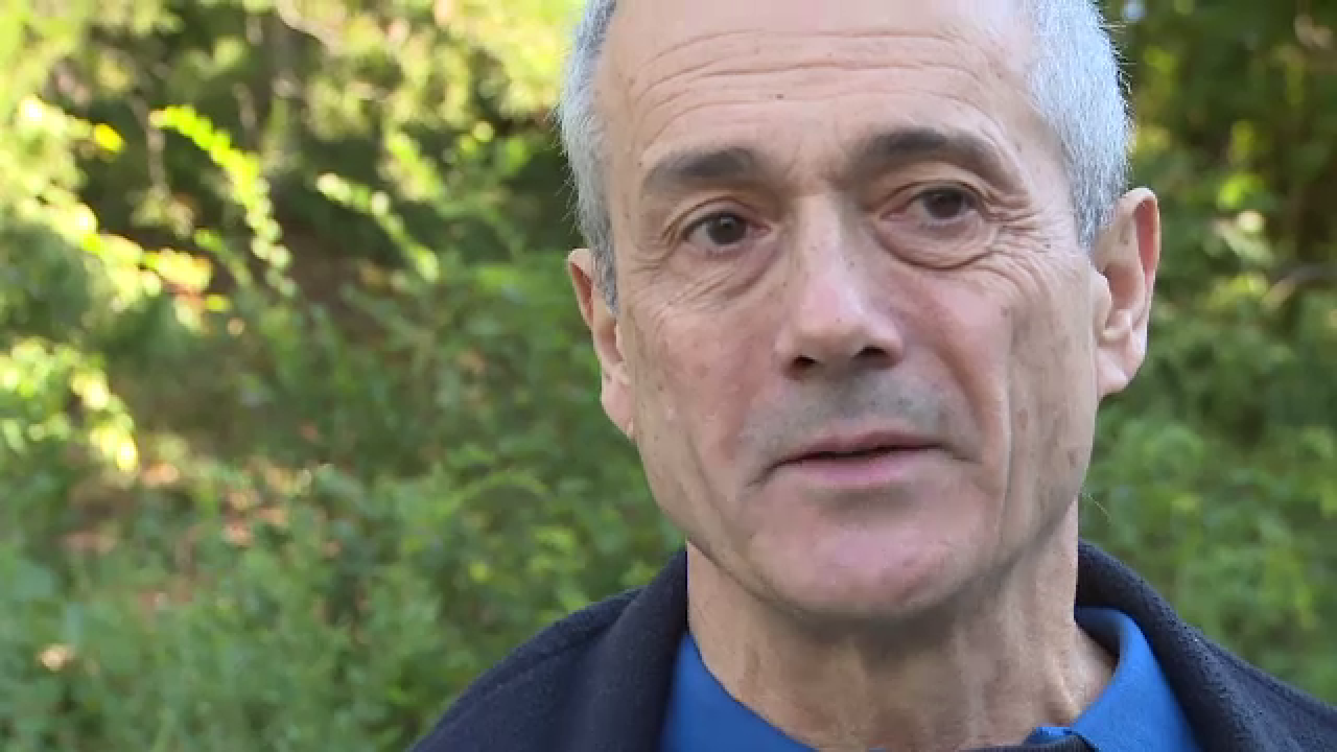 Ce este Teoria Constructală, cu care românul Adrian Bejan a uluit Planeta