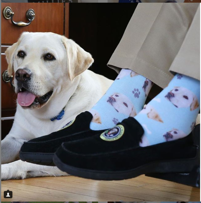 Imaginea emoționantă cu câinele lui George Bush Sr., lângă sicriul fostului președinte