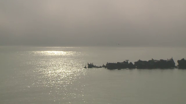 Povestea epavei din al Doilea Război Mondial, descoperită la nord de Gura Portiței