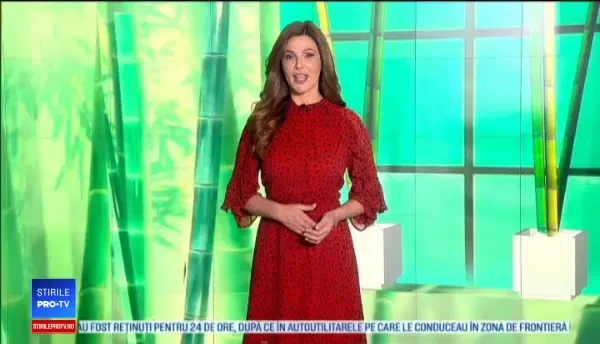 De ce muşcă de fapt copii când sunt furioşi. Puţin părinţi ştiu cum să reacţioneze corect