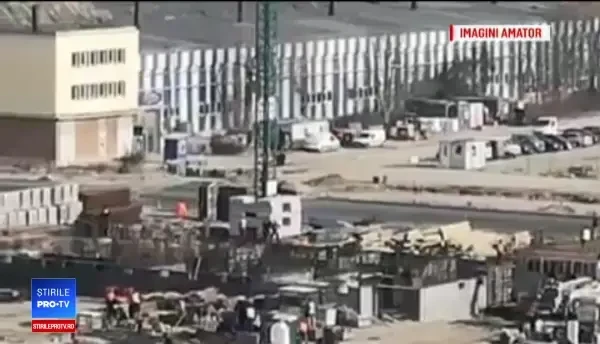 Urșii și-au schimbat comportamentul. Ce spun experții despre prezența lor în orașe