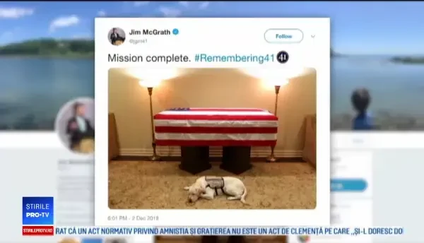 Ce se va întâmpla cu Sully, câinele fostului președinte american George Bush Sr.