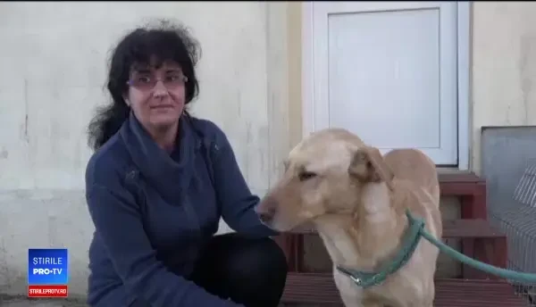 Zeci de câini de la un adăpost din Târgu Mureș au primit cadouri și donații de Moș Nicolae