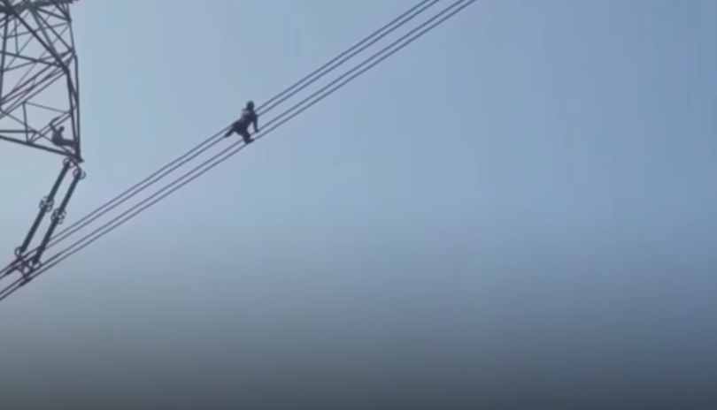 Momente terifiante. Motivul pentru care un bărbat s-a urcat pe cablurile de înaltă tensiune