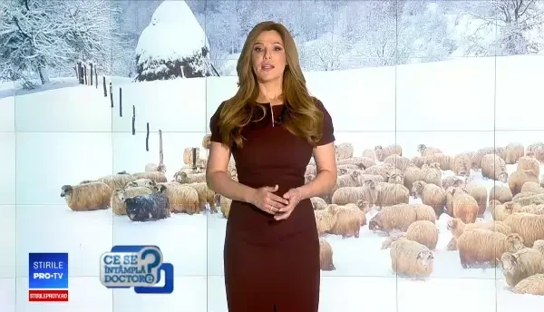 "Telemeaua de Sibiu", produsă în sudul ţării sau chiar peste graniţă. Ce punem în realitate pe masă