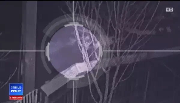 Stare de alertă într-o localitate din Bacău. Oamenii cer măsuri după ce urșii le-au omorât animalele