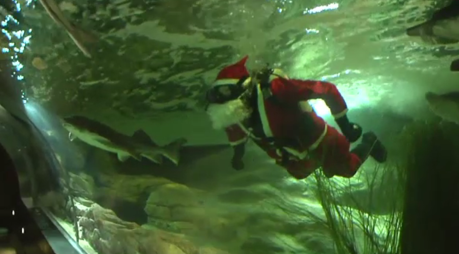 Moș Crăciun și-a făcut apariția într-un muzeu marin din Lituania. Ce le-a spus vizitatorilor