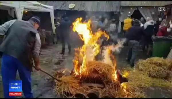 Cârciumarii de la munte au început să taie porcii. Turiștii se înghesuie la șorici