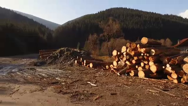 Inspectorul Pro - paduri