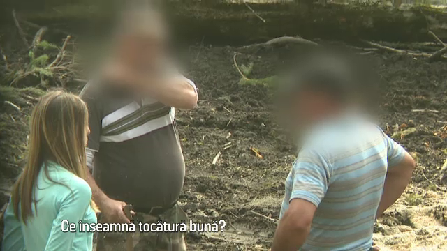 Inspectorul Pro - paduri