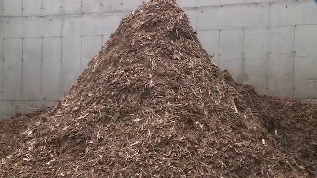 Inspectorul Pro - paduri