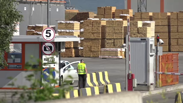 Inspectorul Pro - paduri