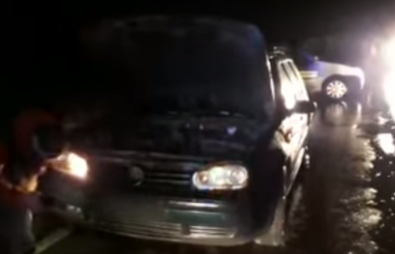 O maşină a lovit un urs pe Drumul Judeţean 106, în județul Sibiu. VIDEO