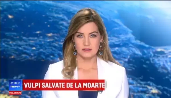 Un șofer băut a lovit trei mașini parcate. O persoană a fost rănită