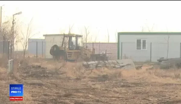 Pesta porcină: oamenii își omoară animalele înainte să o facă inspectorii sau boala