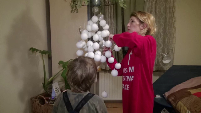 Bradul de plastic, dăunător pentru mediu. Cât costă o alternativă eco